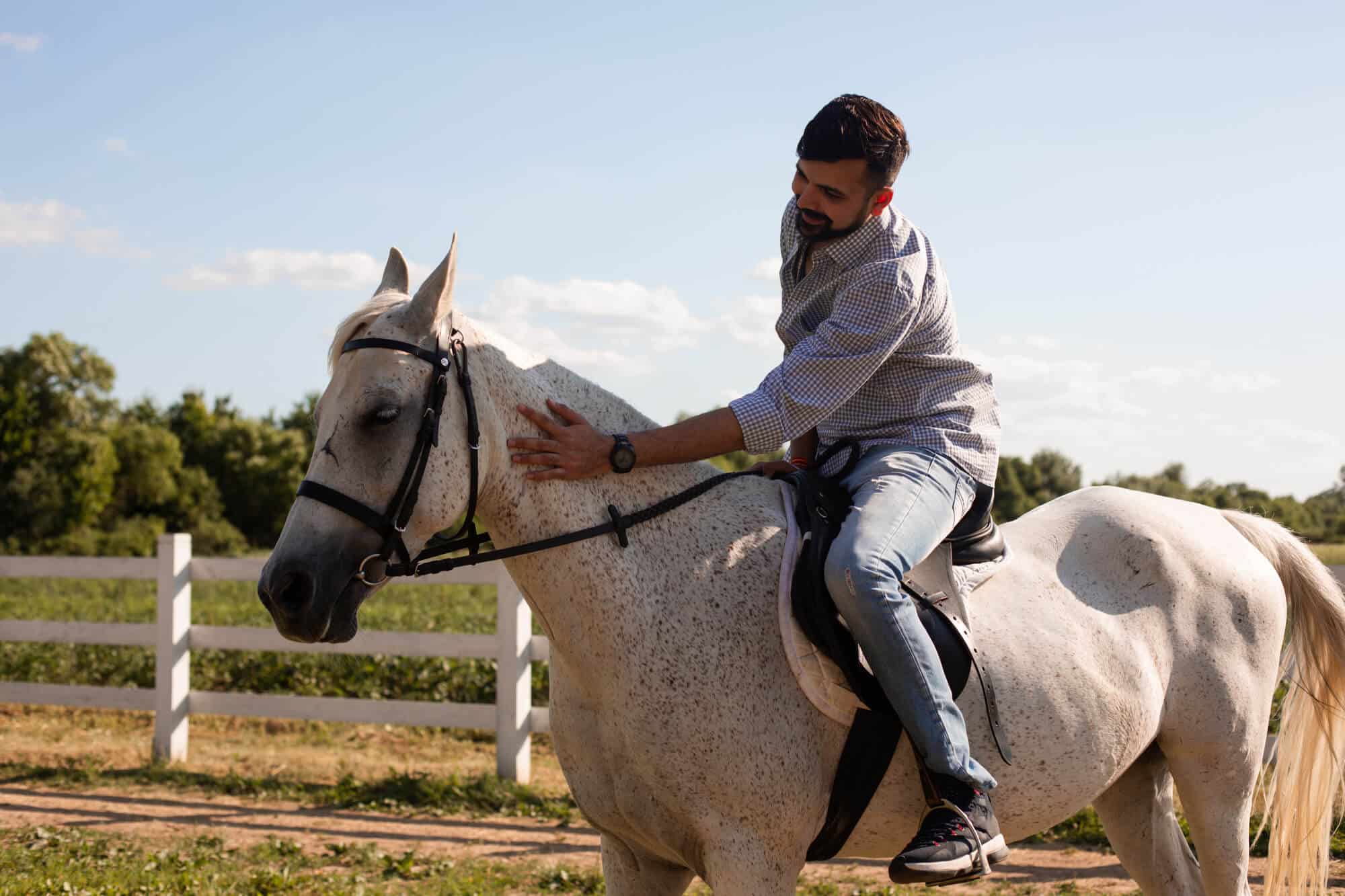 Equine Therapy